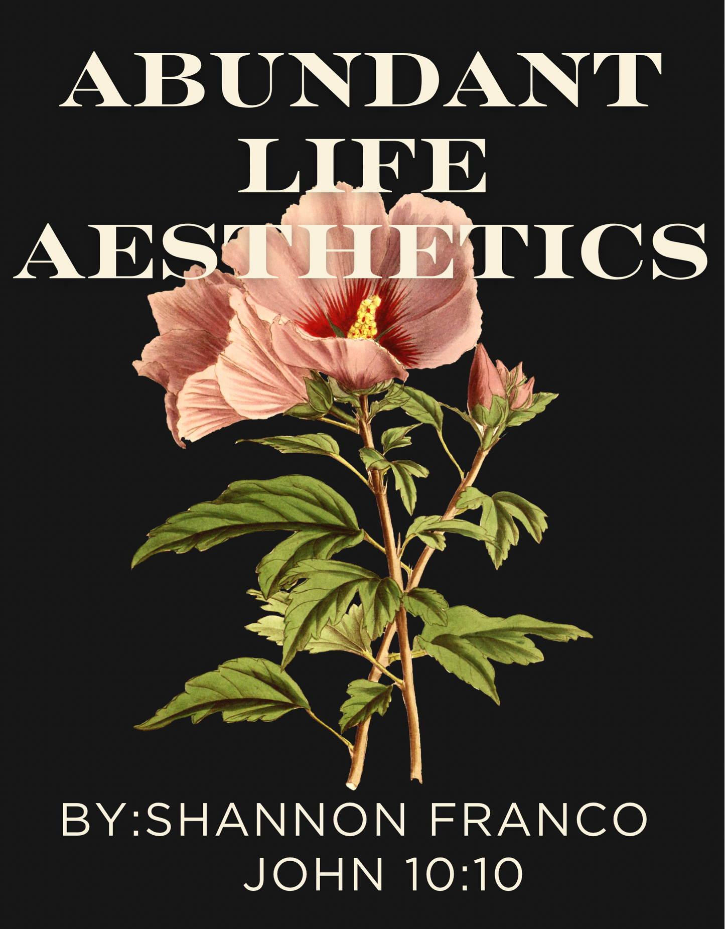 Abundant Life Aesthetics GC